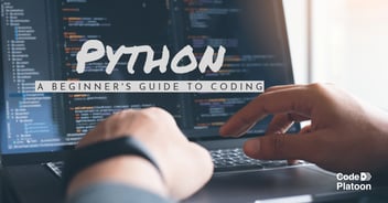 Python Guide for Beginners