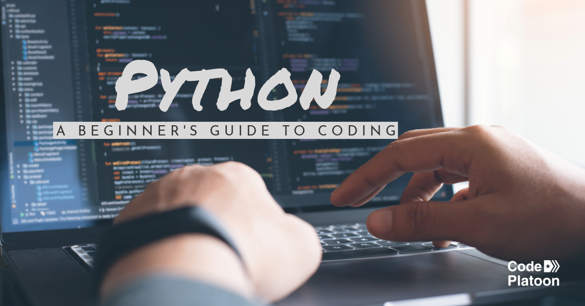 Python Guide for Beginners