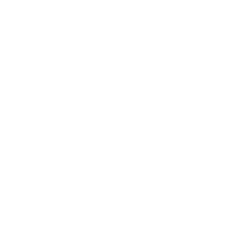 Corporate Partner