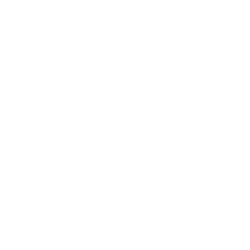 Team Icon